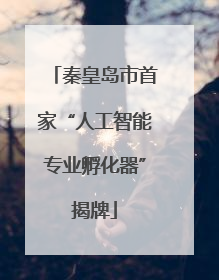 秦皇岛市首家“人工智能专业孵化器”揭牌