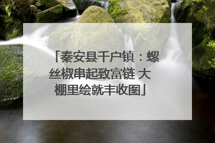秦安县千户镇：螺丝椒串起致富链 大棚里绘就丰收图