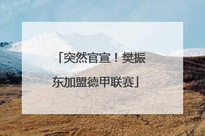 突然官宣！樊振东加盟德甲联赛