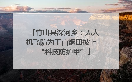 竹山县深河乡：无人机飞防为千亩烟田披上“科技防护甲”