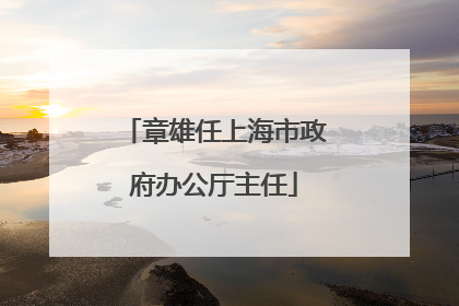 章雄任上海市政府办公厅主任