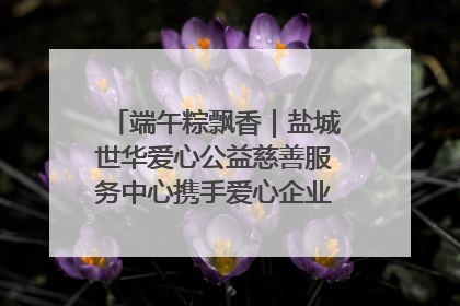 端午粽飘香｜盐城世华爱心公益慈善服务中心携手爱心企业发起情暖“城市守护者”慰问活动
