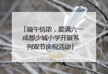 端午情浓，爱满六一 成都少城小学开展系列双节庆祝活动