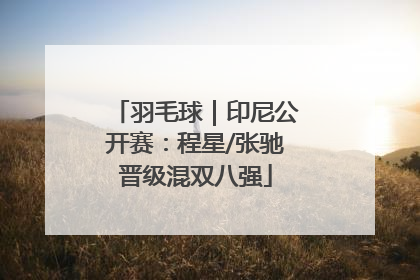 羽毛球｜印尼公开赛：程星/张驰晋级混双八强