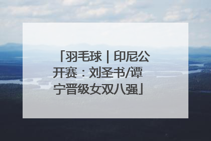 羽毛球｜印尼公开赛：刘圣书/谭宁晋级女双八强