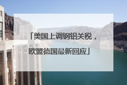 美国上调钢铝关税，欧盟德国最新回应