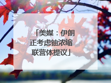 美媒：伊朗正考虑铀浓缩联营体提议