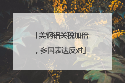 美钢铝关税加倍，多国表达反对