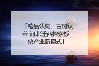 精品认购、古树认养 河北迁西探索板栗产业新模式