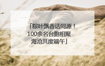 粽叶飘香话同源！100余名台胞相聚海沧共度端午