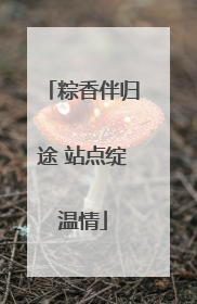 粽香伴归途 站点绽温情