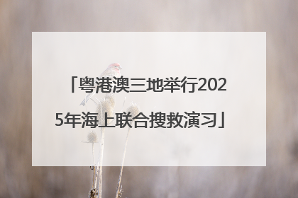 粤港澳三地举行2025年海上联合搜救演习