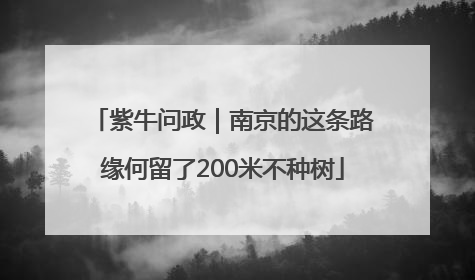 紫牛问政｜南京的这条路缘何留了200米不种树