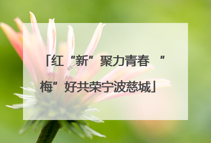 红“新”聚力青春 “梅”好共荣宁波慈城