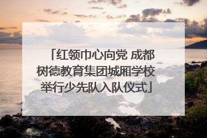 红领巾心向党 成都树德教育集团城厢学校举行少先队入队仪式