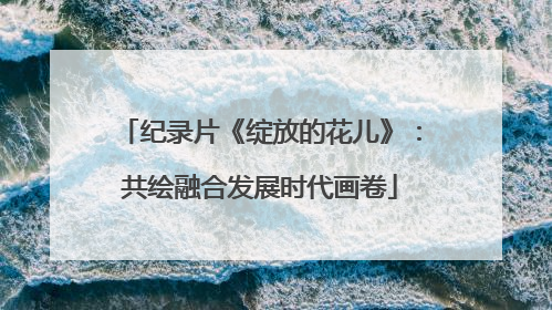 纪录片《绽放的花儿》：共绘融合发展时代画卷