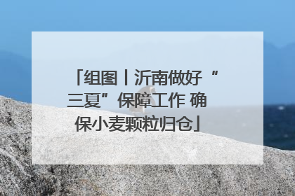 组图丨沂南做好“三夏”保障工作 确保小麦颗粒归仓