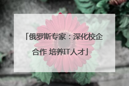俄罗斯专家：深化校企合作 培养IT人才