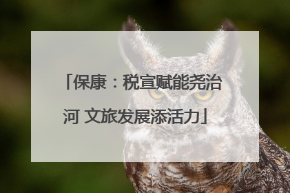保康：税宣赋能尧治河 文旅发展添活力