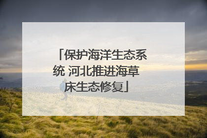 保护海洋生态系统 河北推进海草床生态修复