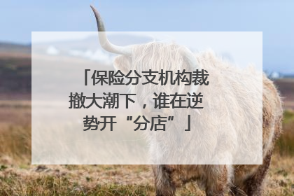 保险分支机构裁撤大潮下，谁在逆势开“分店”