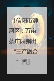 信阳市浉河区：万亩茶庄园飘出“三产融合”香