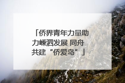 侨界青年力量助力嵊泗发展 同舟共建“侨爱岛”