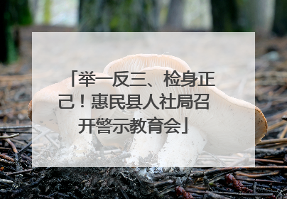 举一反三、检身正己！惠民县人社局召开警示教育会