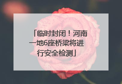 临时封闭！河南一地6座桥梁将进行安全检测
