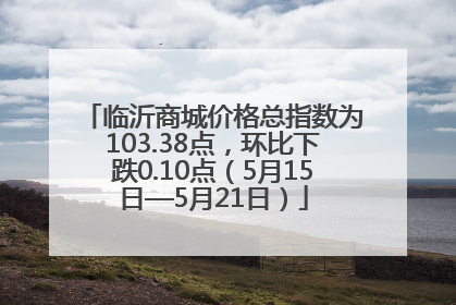 临沂商城价格总指数为103.38点，环比下跌0.10点（5月15日—5月21日）