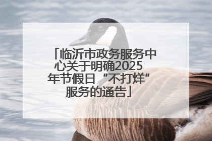 临沂市政务服务中心关于明确2025年节假日“不打烊”服务的通告
