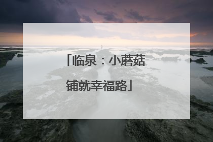 临泉：小蘑菇铺就幸福路