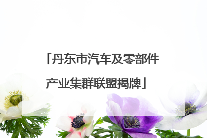 丹东市汽车及零部件产业集群联盟揭牌