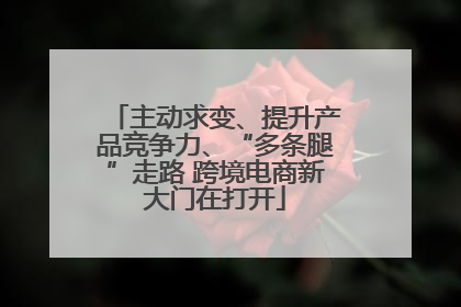主动求变、提升产品竞争力、“多条腿”走路 跨境电商新大门在打开