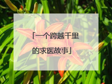 一个跨越千里的求医故事