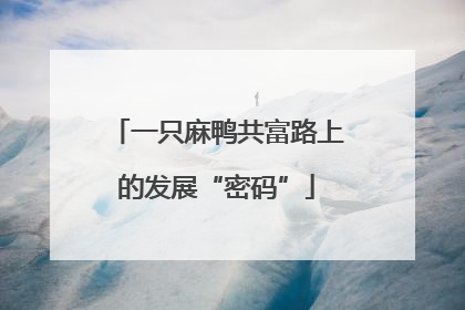 一只麻鸭共富路上的发展“密码”