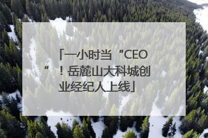 一小时当“CEO”！岳麓山大科城创业经纪人上线