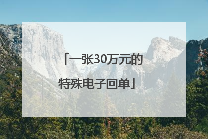 一张30万元的特殊电子回单
