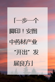 一步一个脚印！安图中药材产业“开出”发展良方
