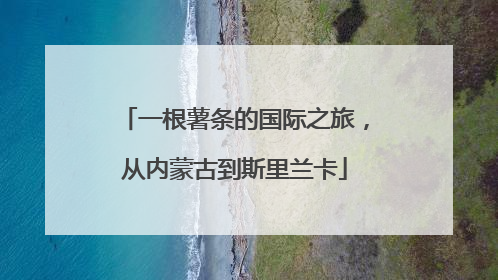 一根薯条的国际之旅，从内蒙古到斯里兰卡
