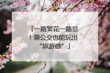 一路繁花一路景！乘公交也能玩出“旅游感”
