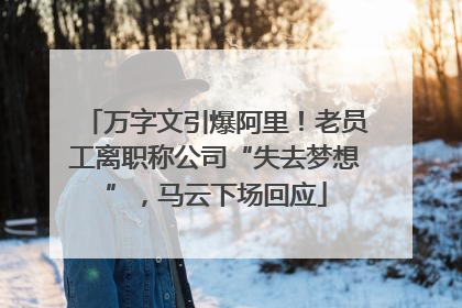 万字文引爆阿里！老员工离职称公司“失去梦想”，马云下场回应