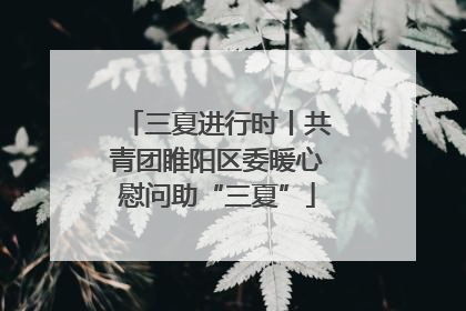 三夏进行时丨共青团睢阳区委暖心慰问助“三夏”