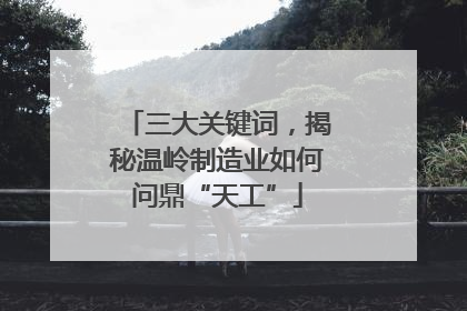 三大关键词，揭秘温岭制造业如何问鼎“天工”