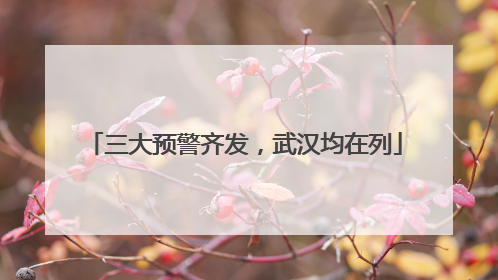 三大预警齐发，武汉均在列