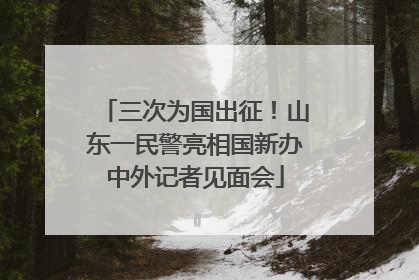 三次为国出征！山东一民警亮相国新办中外记者见面会