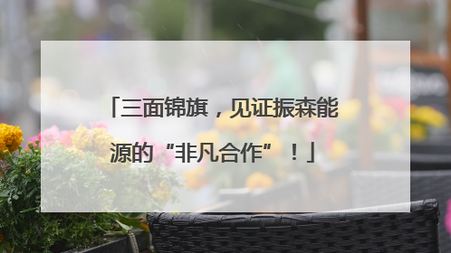 三面锦旗，见证振森能源的“非凡合作”！