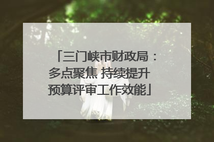 三门峡市财政局：多点聚焦 持续提升预算评审工作效能