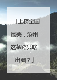 上榜全国最美，沧州这条路凭啥出圈？