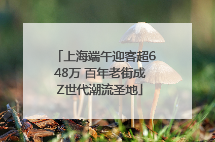 上海端午迎客超648万 百年老街成Z世代潮流圣地